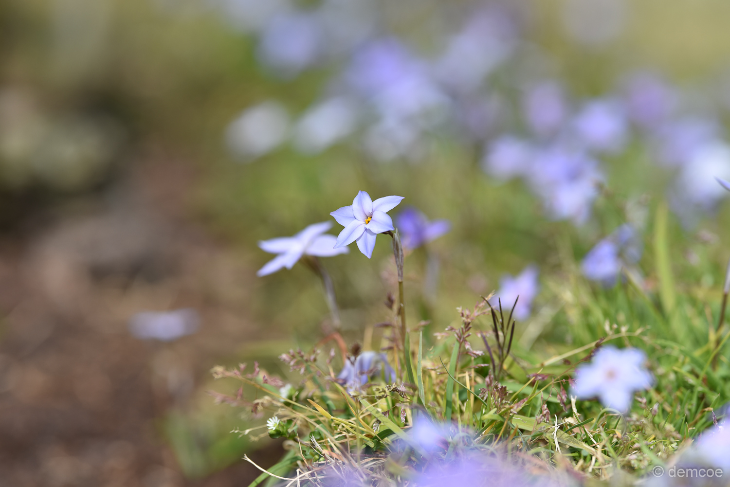 f:id:demcoe:20170325175951j:plain