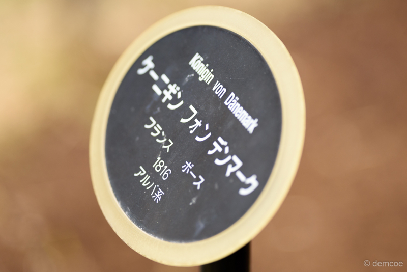 f:id:demcoe:20170325180703j:plain