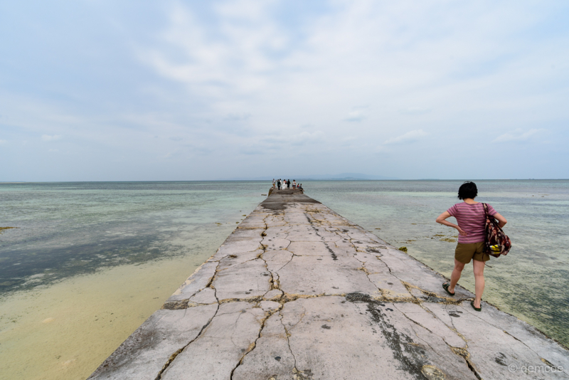 f:id:demcoe:20170506005435j:plain