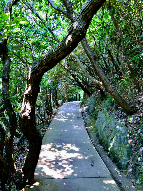 f:id:demcoe:20170805115323j:plain