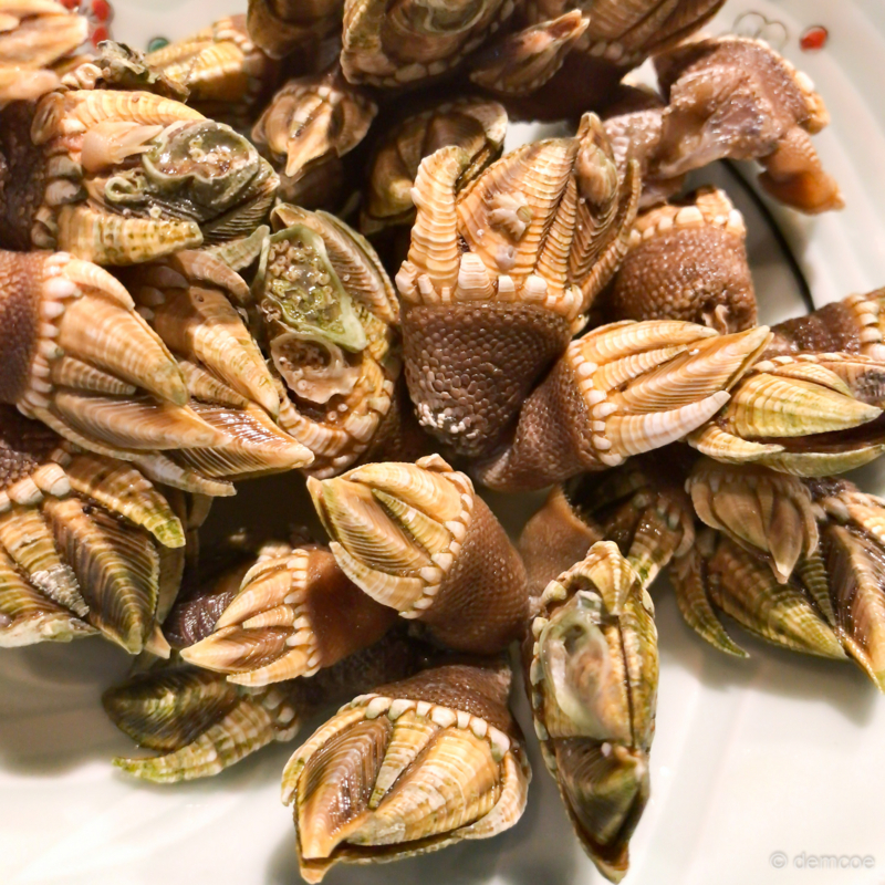 f:id:demcoe:20170805115343j:plain