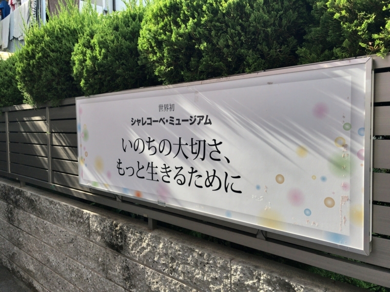 f:id:demcoe:20170821232359j:plain