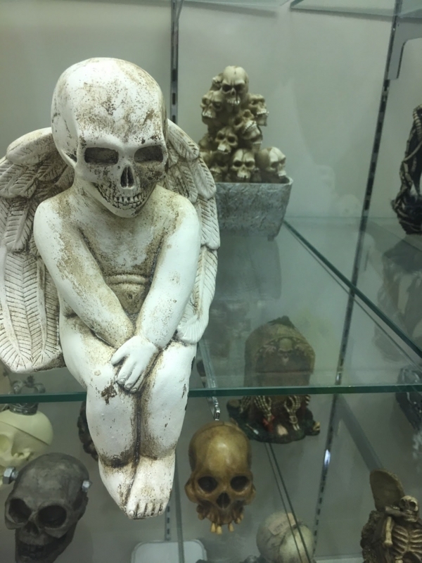 頭蓋骨だらけ！ ちょっとホラーな博物館・兵庫県尼崎市「シャレコーベ