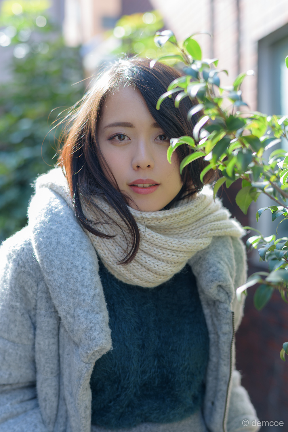 f:id:demcoe:20180304224742j:plain f:id:demcoe:20180304224742j:plain