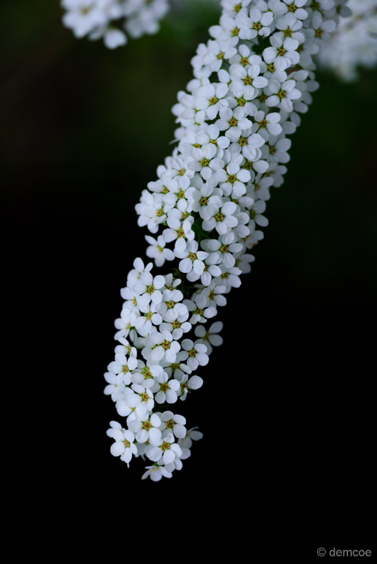 f:id:demcoe:20180420000838j:plain