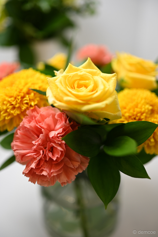 f:id:demcoe:20180917011211j:plain f:id:demcoe:20180917011211j:plain