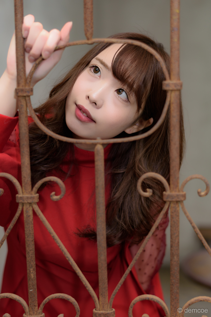 f:id:demcoe:20190220235621j:plain f:id:demcoe:20190220235621j:plain