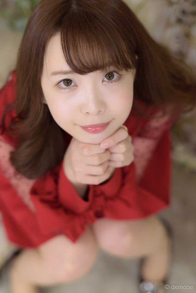 f:id:demcoe:20190221000226j:plain f:id:demcoe:20190221000226j:plain