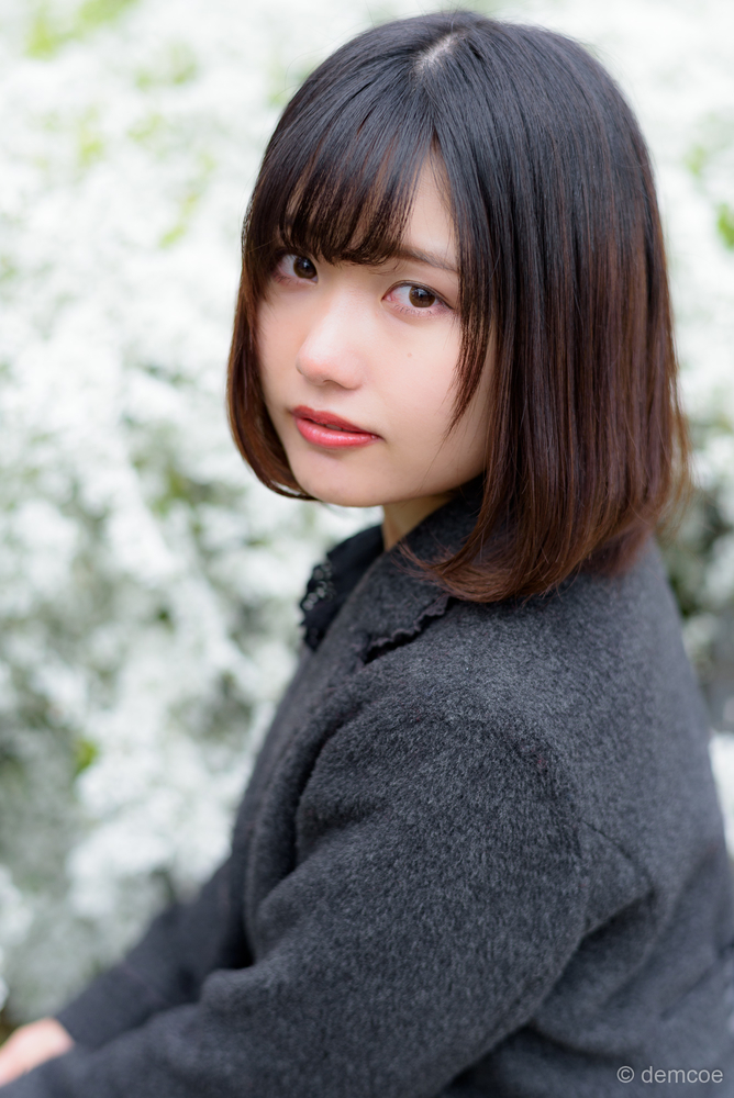 f:id:demcoe:20190327000218j:plain f:id:demcoe:20190327000218j:plain