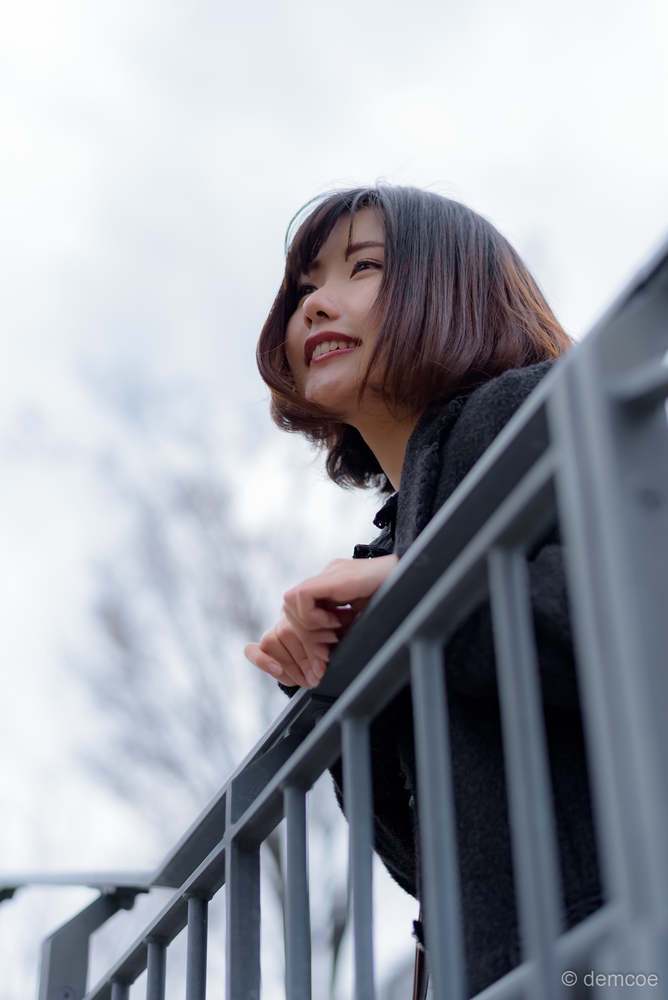 f:id:demcoe:20190327000221j:plain f:id:demcoe:20190327000221j:plain