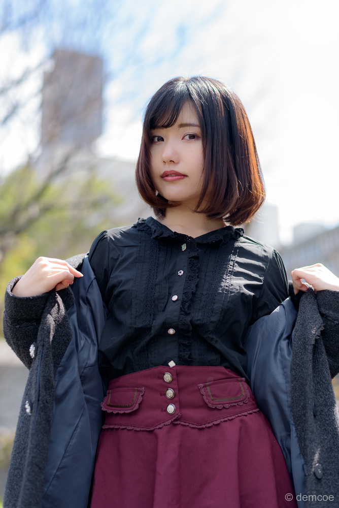 f:id:demcoe:20190327000232j:plain f:id:demcoe:20190327000232j:plain