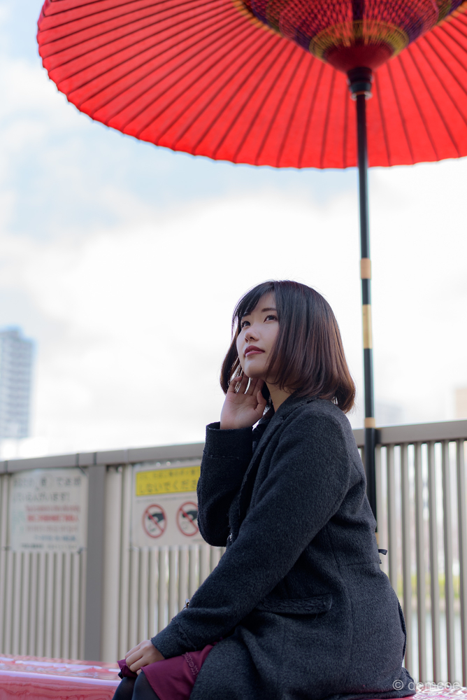 f:id:demcoe:20190327000235j:plain f:id:demcoe:20190327000235j:plain