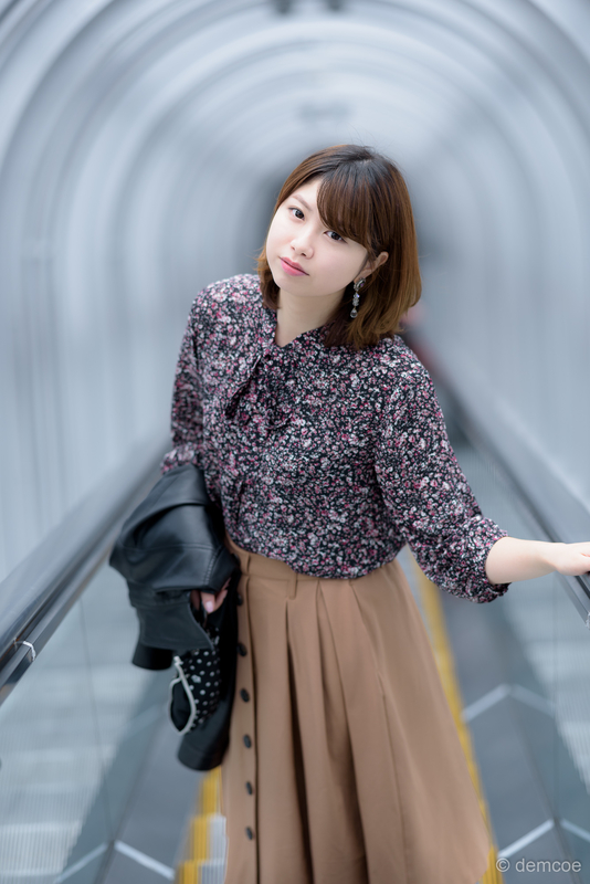 f:id:demcoe:20190330215446j:plain f:id:demcoe:20190330215446j:plain