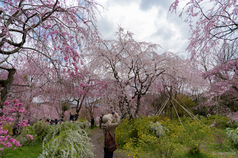 f:id:demcoe:20190414142453j:plain f:id:demcoe:20190414142453j:plain