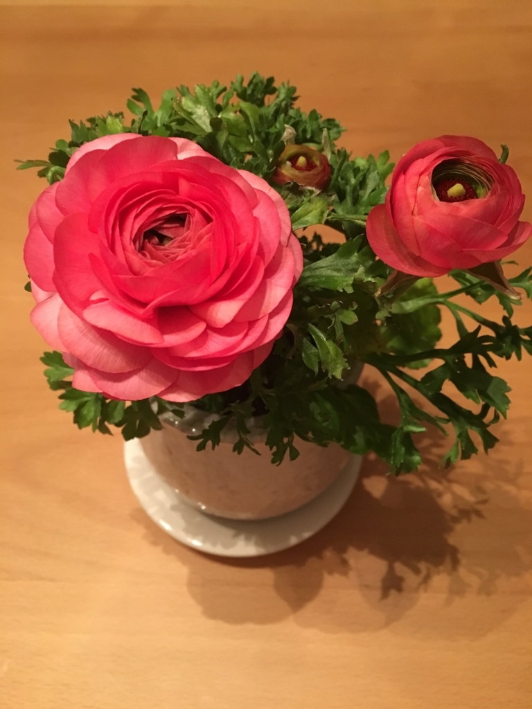 f:id:demichannel:20180313201946j:plain f:id:demichannel:20180313201946j:plain