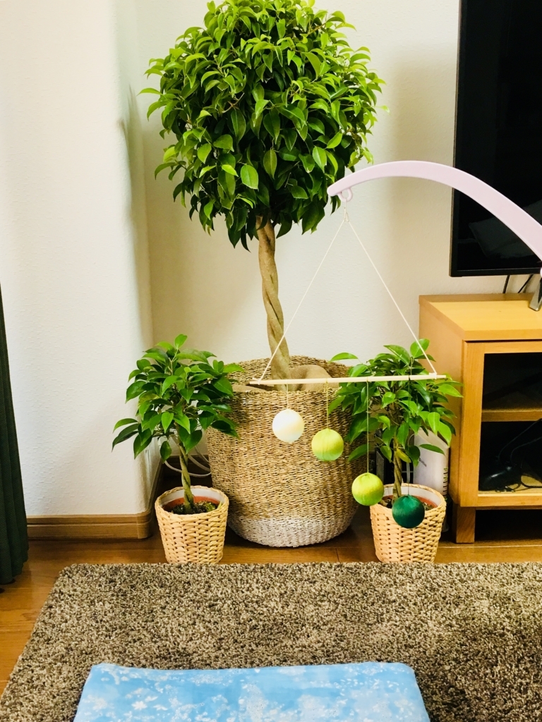 f:id:demichannel:20180313202644j:plain f:id:demichannel:20180313202644j:plain