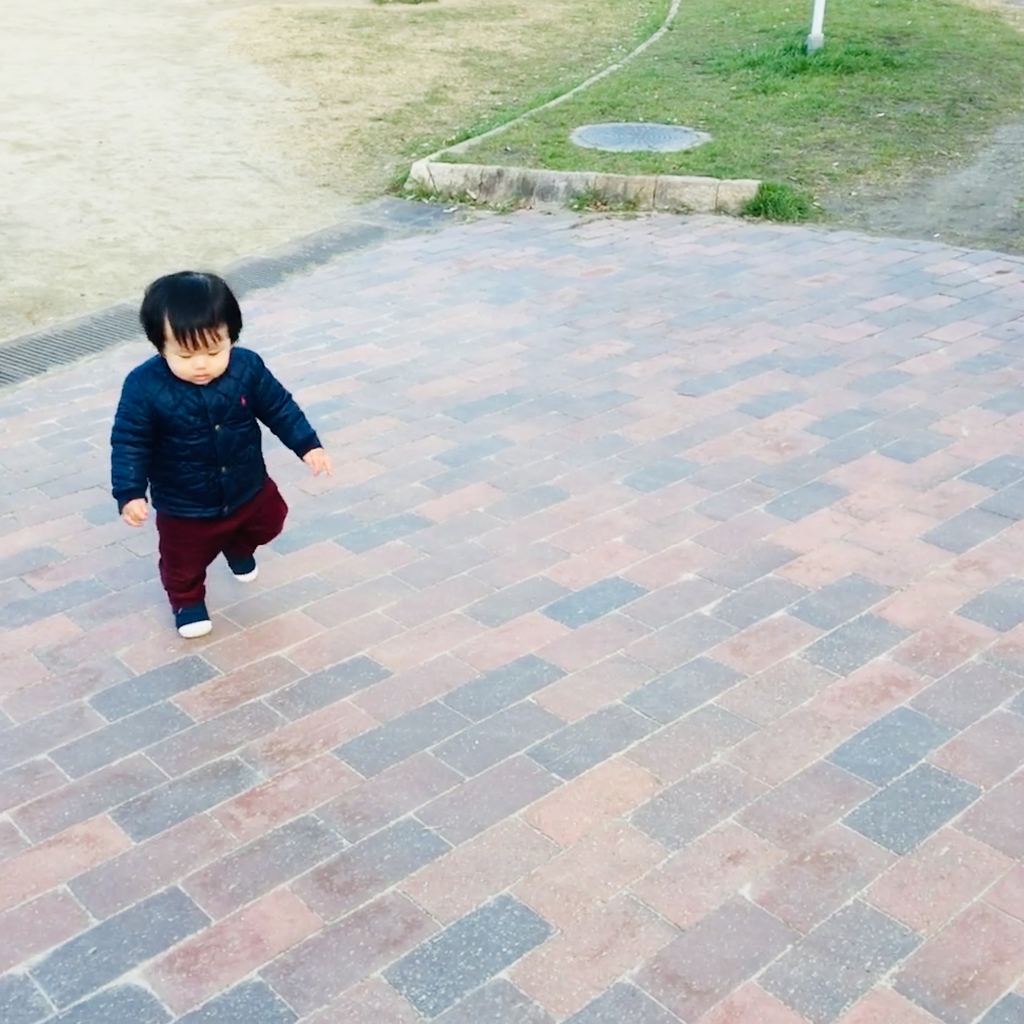 f:id:demichannel:20190112214101j:plain