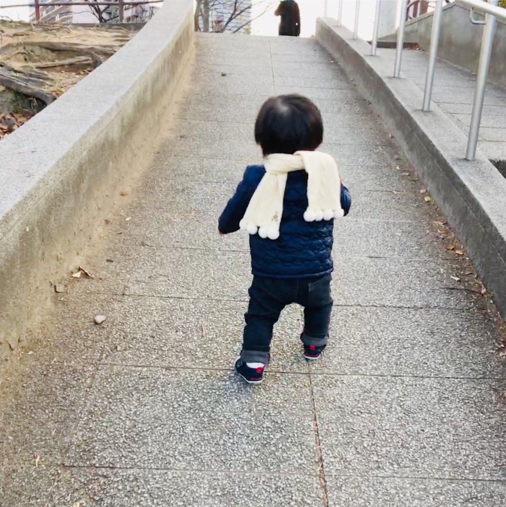 f:id:demichannel:20190112214127j:plain