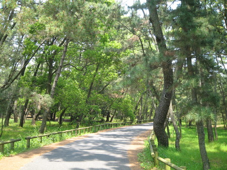f:id:dench:20080518125018j:image