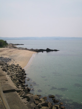 f:id:dench:20080518135816j:image