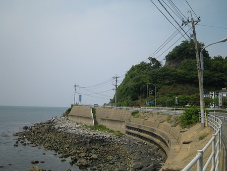 f:id:dench:20080518140701j:image
