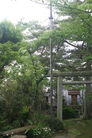 f:id:dench:20080531103713j:image