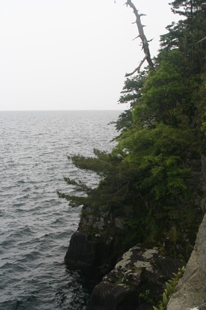 f:id:dench:20080531104108j:image