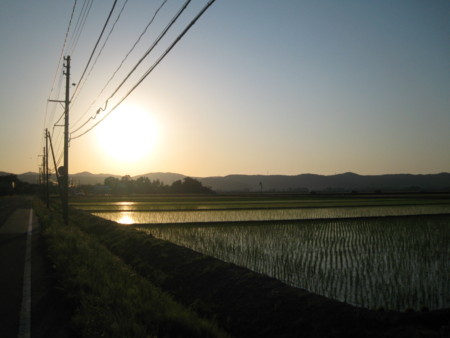 f:id:dench:20090601181921j:image