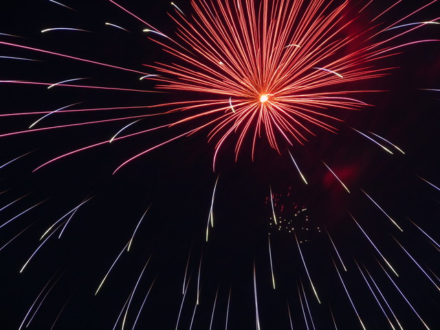 f:id:denchuinc:20080727015727j:image:w120