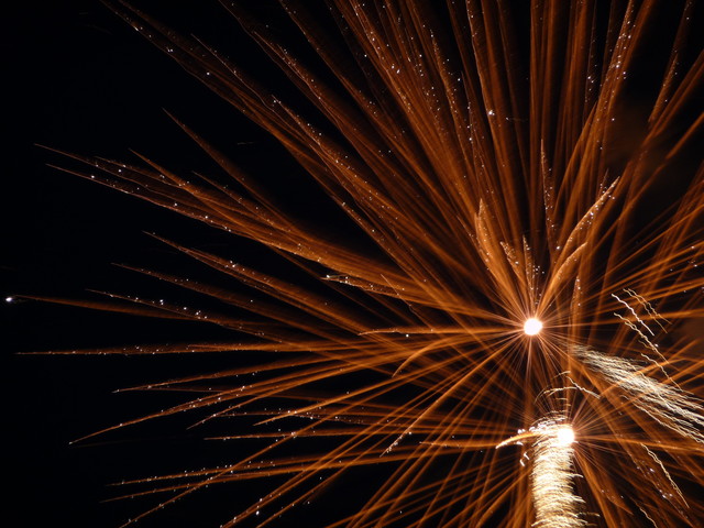 f:id:denchuinc:20080727015733j:image:w120