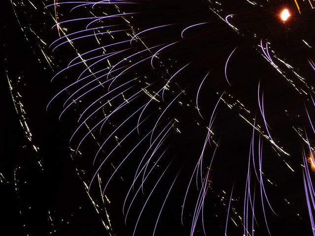 f:id:denchuinc:20080727015805j:image:w120