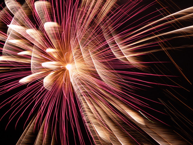 f:id:denchuinc:20080727015810j:image:w120