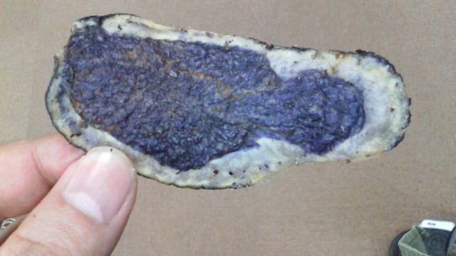 f:id:denchuinc:20090105233317j:image:h90 f:id:denchuinc:20090105233317j:image:h90