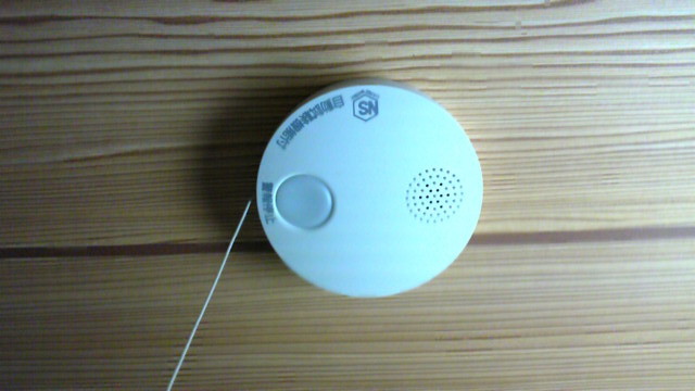 f:id:denchuinc:20090621020742j:image:h120 f:id:denchuinc:20090621020742j:image:h120