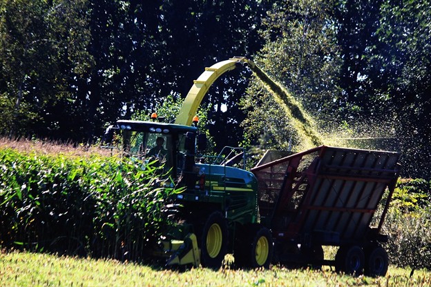 f:id:dende061160:20170405115444j:plain