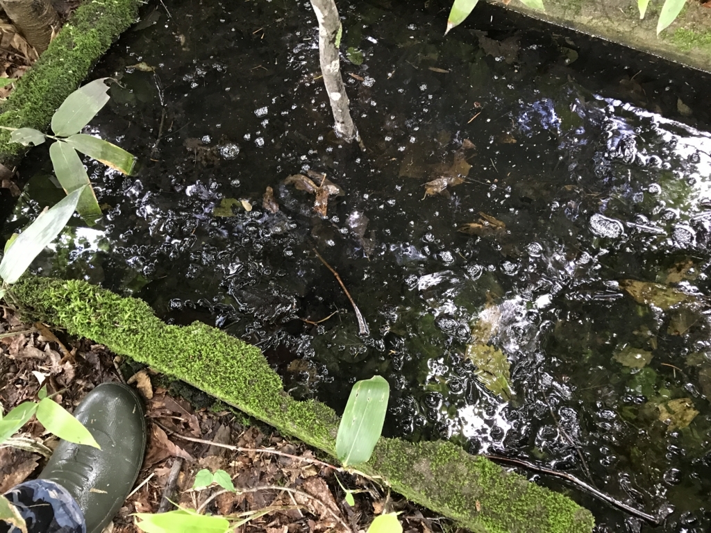 f:id:dende061160:20170713085429j:plain