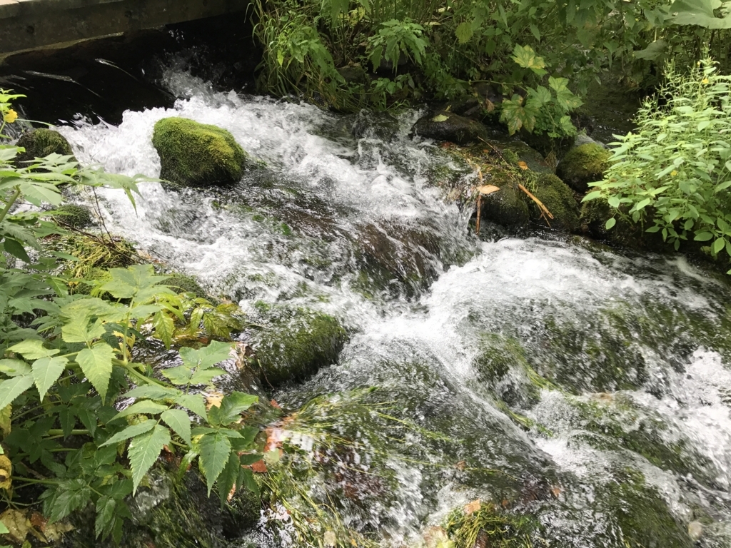 f:id:dende061160:20170816122438j:plain f:id:dende061160:20170816122438j:plain