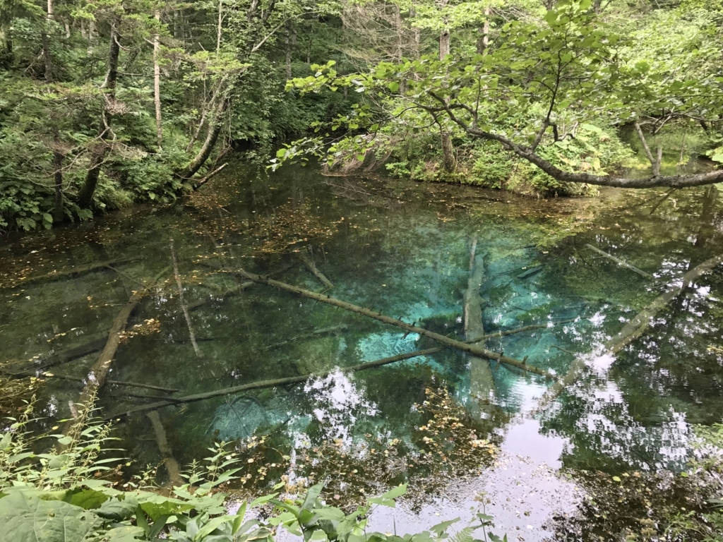 f:id:dende061160:20170816123759j:plain f:id:dende061160:20170816123759j:plain