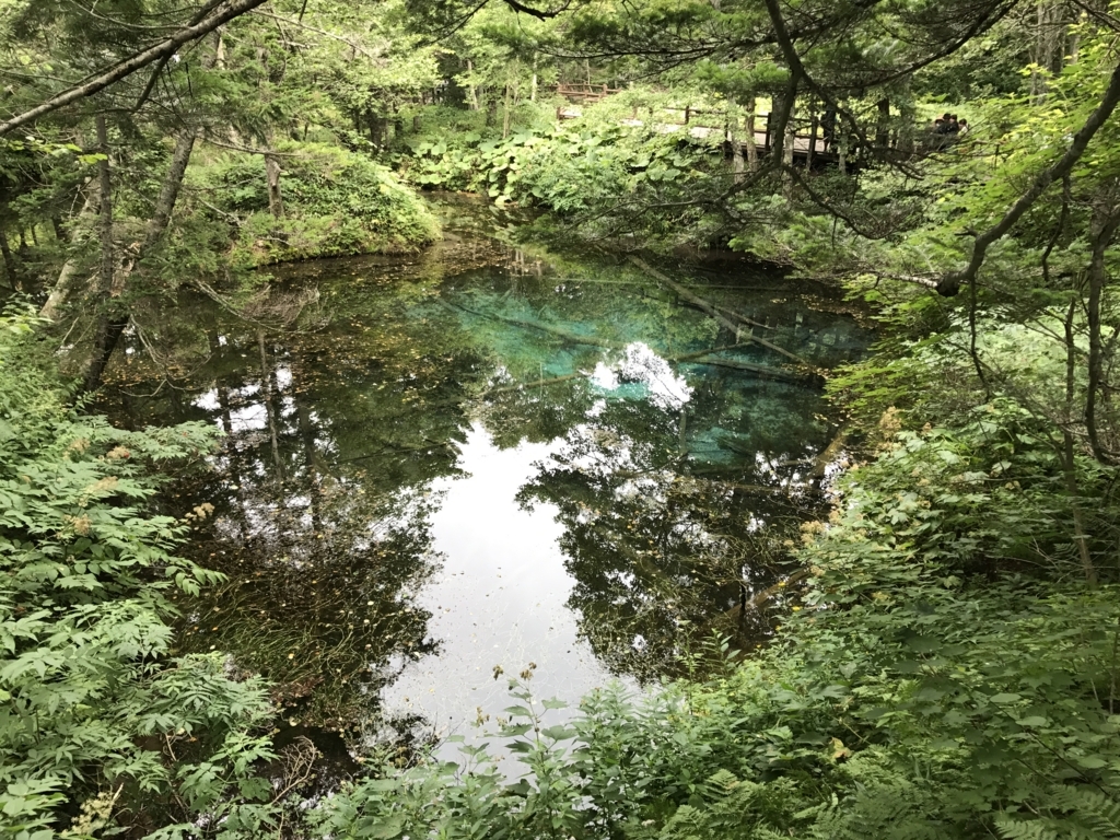 神の子池に行ったらとっても神秘的だった Azuyahi日記 神の子池に行ったらとっても神秘的だった Azuyahi日記