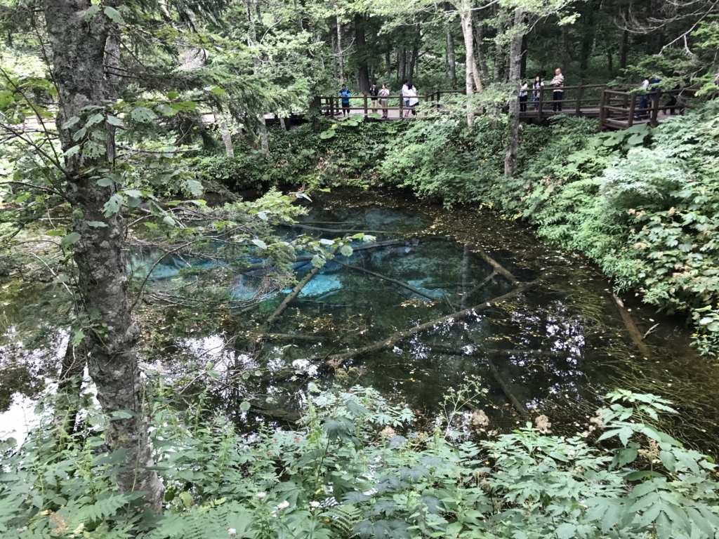 f:id:dende061160:20170816123907j:plain f:id:dende061160:20170816123907j:plain