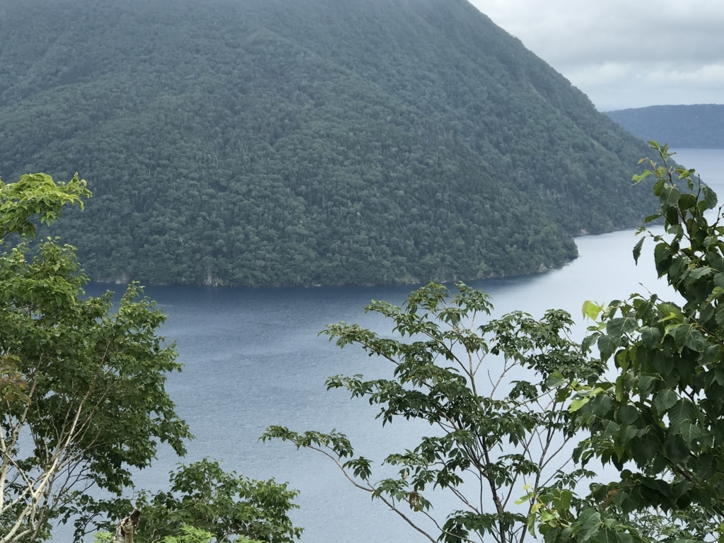 f:id:dende061160:20170816130316j:plain f:id:dende061160:20170816130316j:plain