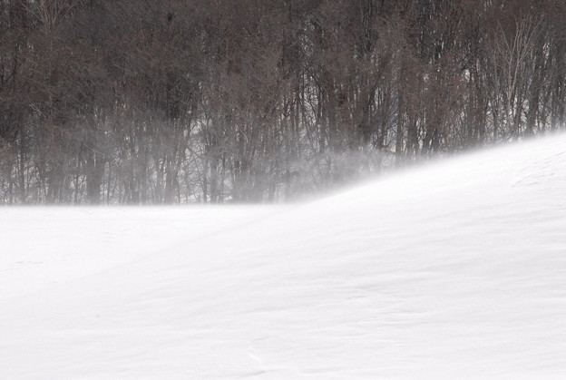 f:id:dende061160:20171130084610j:plain f:id:dende061160:20171130084610j:plain