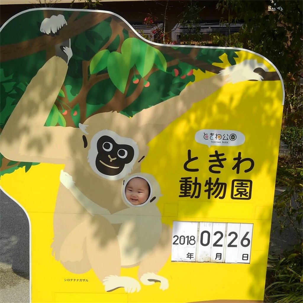 f:id:dende3330:20180227094623j:image f:id:dende3330:20180227094623j:image