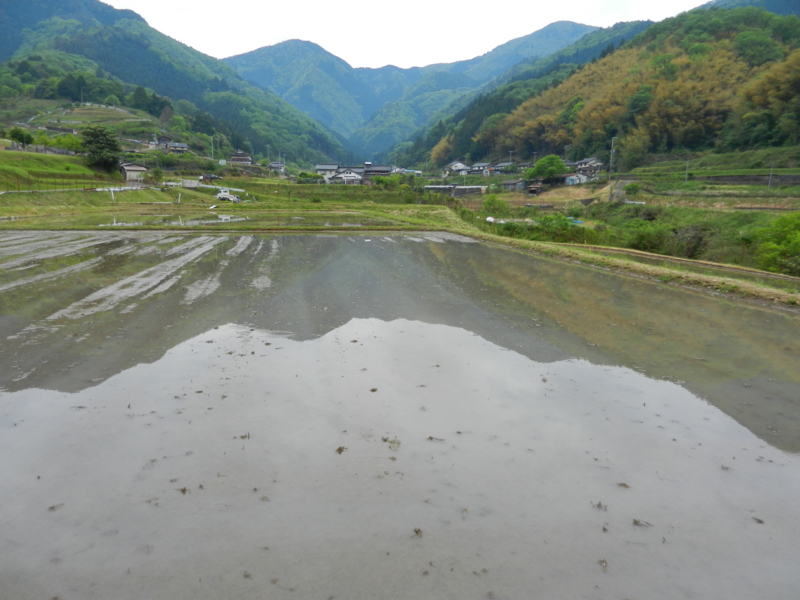 f:id:denden_560316:20150509083037j:image