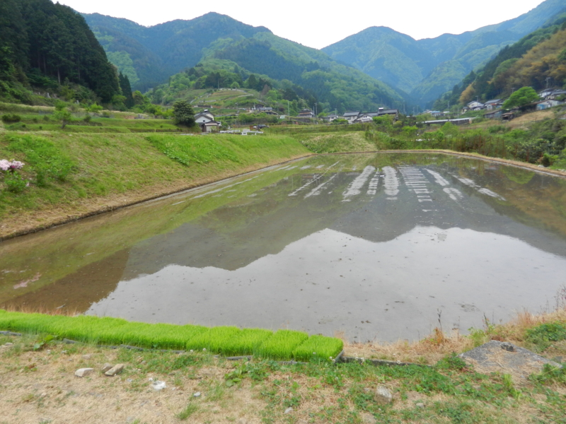 f:id:denden_560316:20150509083130j:image