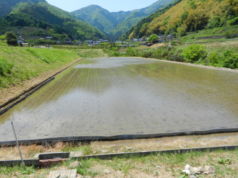 f:id:denden_560316:20150510121414j:image