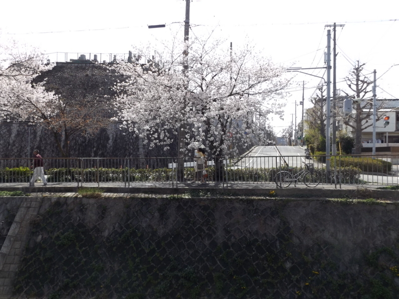 f:id:denden_560316:20180331133050j:image f:id:denden_560316:20180331133050j:image