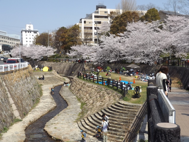 f:id:denden_560316:20180331134111j:image f:id:denden_560316:20180331134111j:image