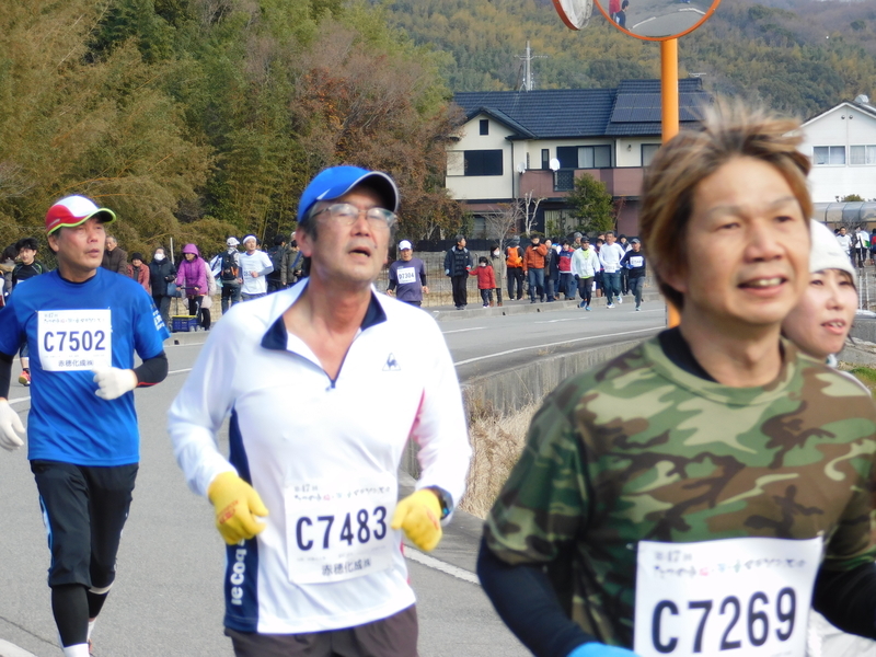 f:id:denden_560316:20190127104240j:image