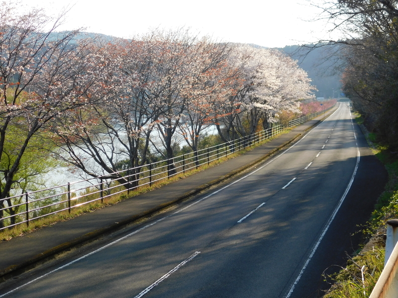 f:id:denden_560316:20190331165423j:plain f:id:denden_560316:20190331165423j:plain